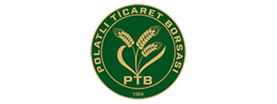 Polatlı